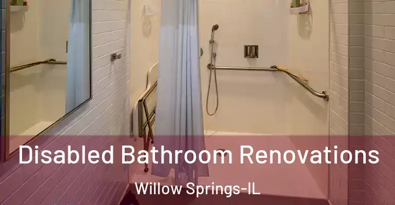 inner Bathroom imggen Disabled Bathroom Renovations Willow Springs-IL