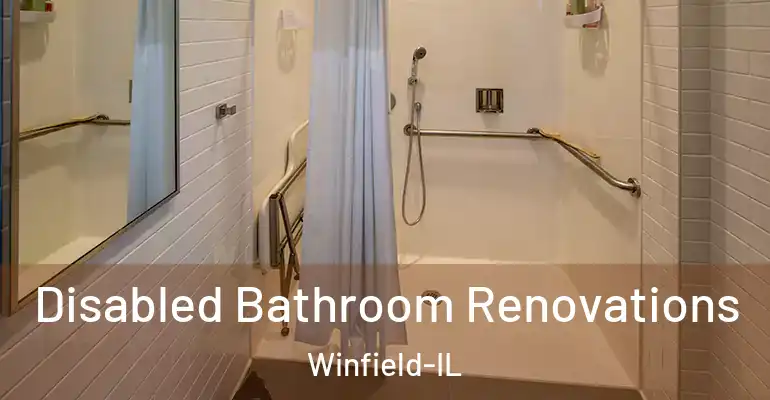 inner Bathroom imggen Disabled Bathroom Renovations Winfield-IL