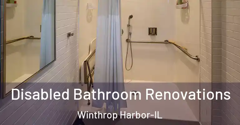 inner Bathroom imggen Disabled Bathroom Renovations Winthrop Harbor-IL