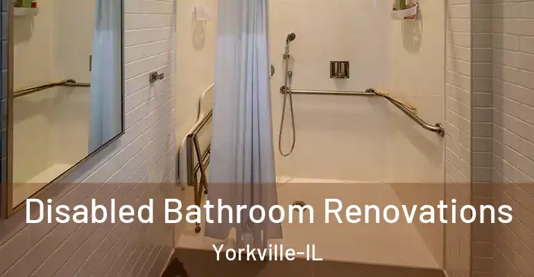 inner Bathroom imggen Disabled Bathroom Renovations Yorkville-IL