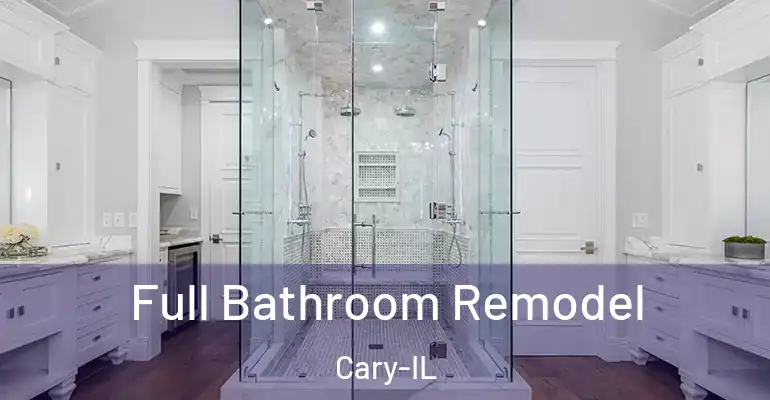 inner Bathroom imggen Full Bathroom Remodel Cary-IL