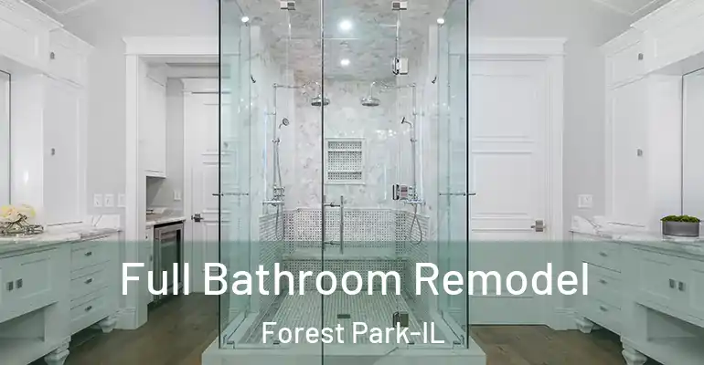 inner Bathroom imggen Full Bathroom Remodel Forest Park-IL