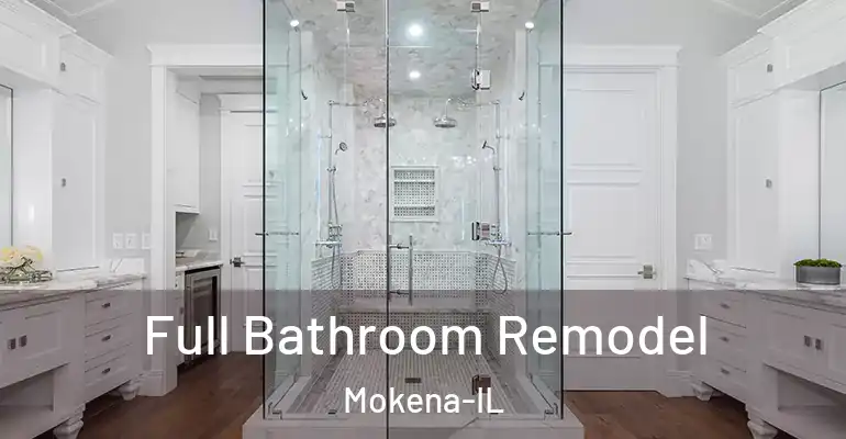 inner Bathroom imggen Full Bathroom Remodel Mokena-IL