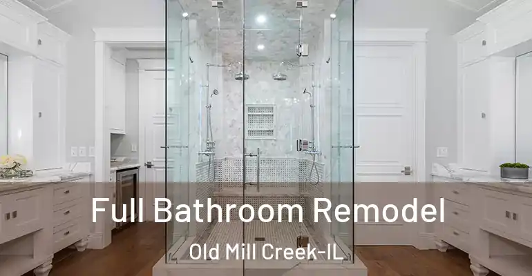 inner Bathroom imggen Full Bathroom Remodel Old Mill Creek-IL