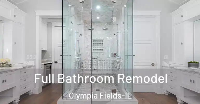 inner Bathroom imggen Full Bathroom Remodel Olympia Fields-IL