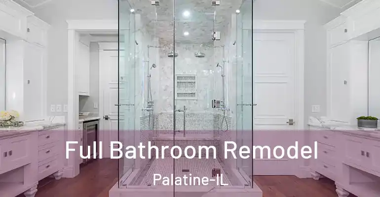 inner Bathroom imggen Full Bathroom Remodel Palatine-IL
