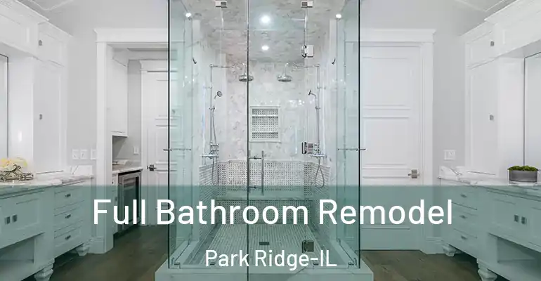 inner Bathroom imggen Full Bathroom Remodel Park Ridge-IL