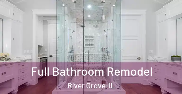inner Bathroom imggen Full Bathroom Remodel River Grove-IL