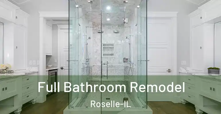 inner Bathroom imggen Full Bathroom Remodel Roselle-IL