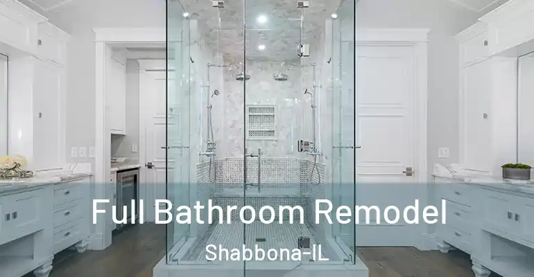 inner Bathroom imggen Full Bathroom Remodel Shabbona-IL
