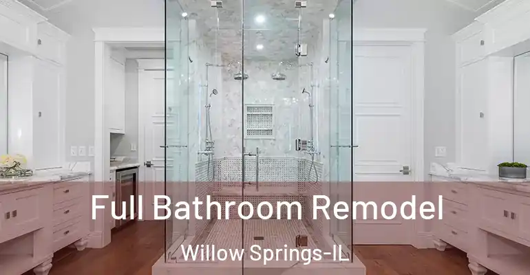 inner Bathroom imggen Full Bathroom Remodel Willow Springs-IL