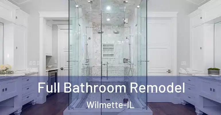 inner Bathroom imggen Full Bathroom Remodel Wilmette-IL