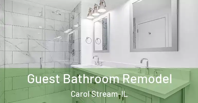 inner Bathroom imggen Guest Bathroom Remodel Carol Stream-IL