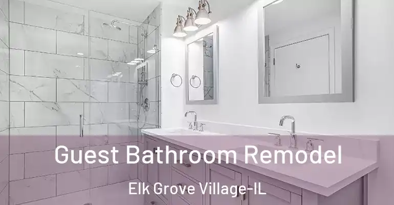 inner Bathroom imggen Guest Bathroom Remodel Elk Grove Village-IL