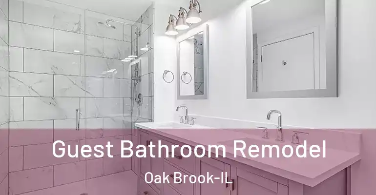 inner Bathroom imggen Guest Bathroom Remodel Oak Brook-IL