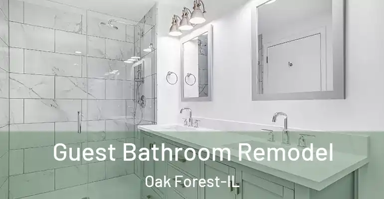 inner Bathroom imggen Guest Bathroom Remodel Oak Forest-IL