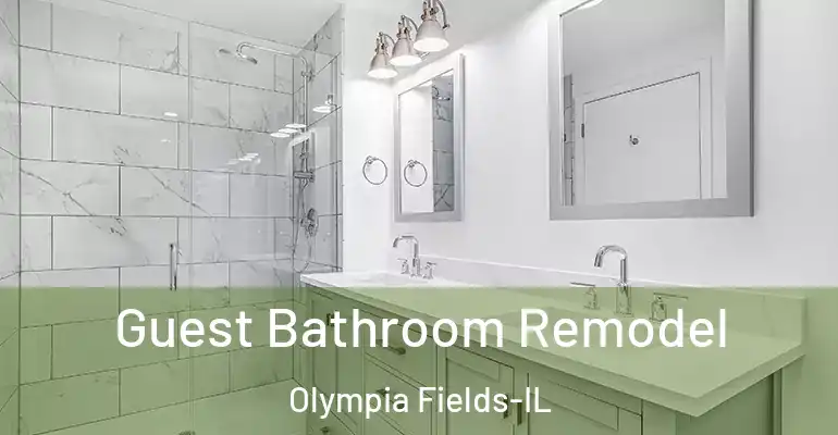 inner Bathroom imggen Guest Bathroom Remodel Olympia Fields-IL