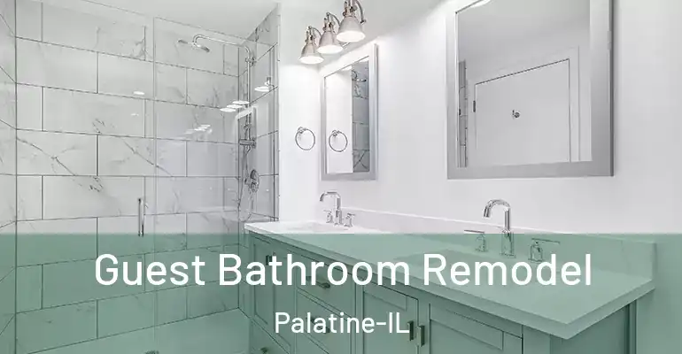 inner Bathroom imggen Guest Bathroom Remodel Palatine-IL