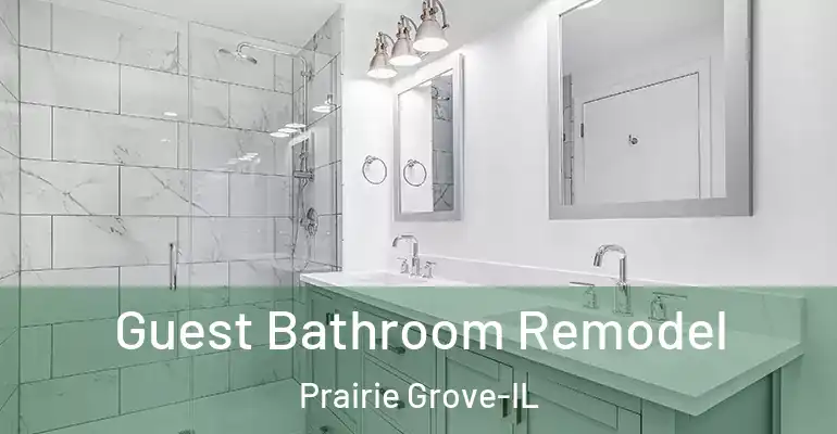 inner Bathroom imggen Guest Bathroom Remodel Prairie Grove-IL