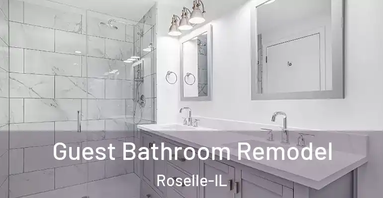 inner Bathroom imggen Guest Bathroom Remodel Roselle-IL
