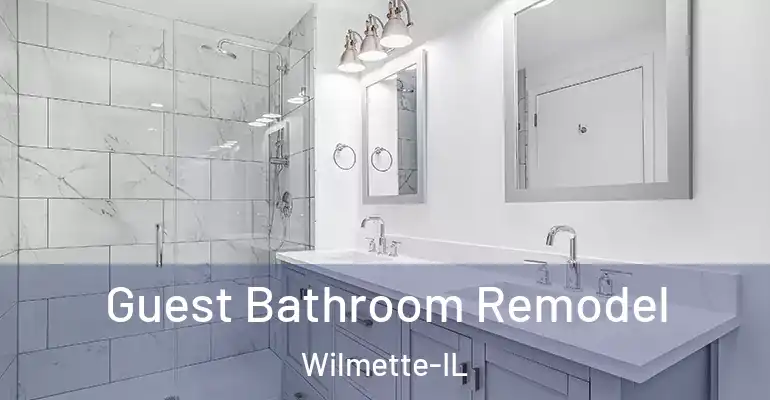 inner Bathroom imggen Guest Bathroom Remodel Wilmette-IL