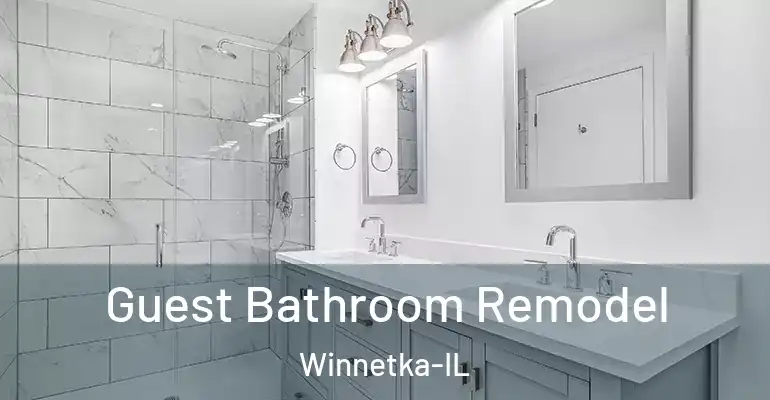 inner Bathroom imggen Guest Bathroom Remodel Winnetka-IL