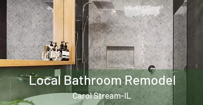 inner Bathroom imggen Local Bathroom Remodel Carol Stream-IL