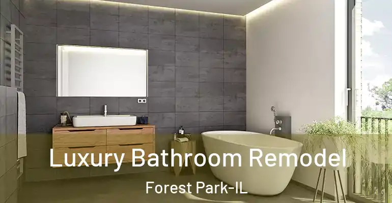 inner Bathroom imggen Luxury Bathroom Remodel Forest Park-IL