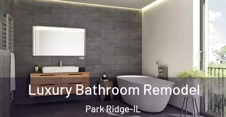 inner Bathroom imggen Luxury Bathroom Remodel Park Ridge-IL
