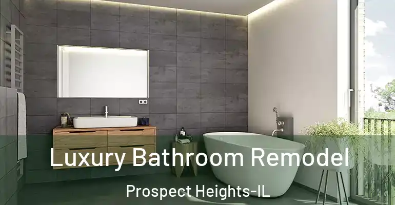 inner Bathroom imggen Luxury Bathroom Remodel Prospect Heights-IL