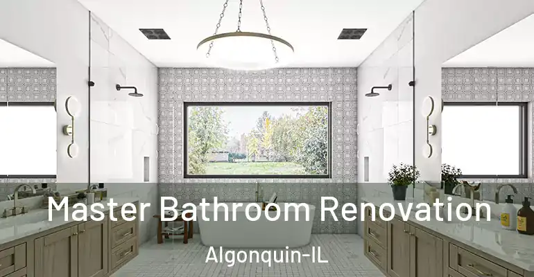 inner Bathroom imggen Master Bathroom Renovation Algonquin-IL