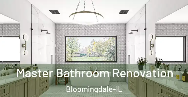 inner Bathroom imggen Master Bathroom Renovation Bloomingdale-IL