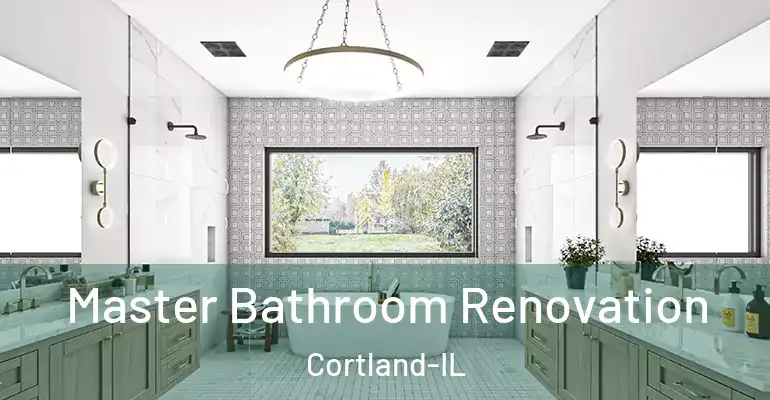 inner Bathroom imggen Master Bathroom Renovation Cortland-IL