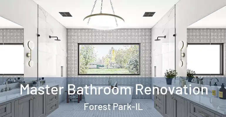 inner Bathroom imggen Master Bathroom Renovation Forest Park-IL