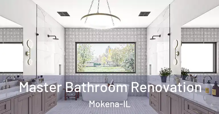 inner Bathroom imggen Master Bathroom Renovation Mokena-IL