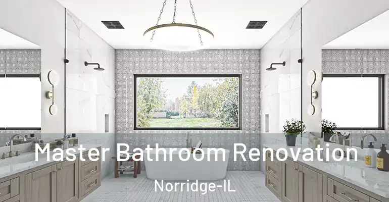 inner Bathroom imggen Master Bathroom Renovation Norridge-IL