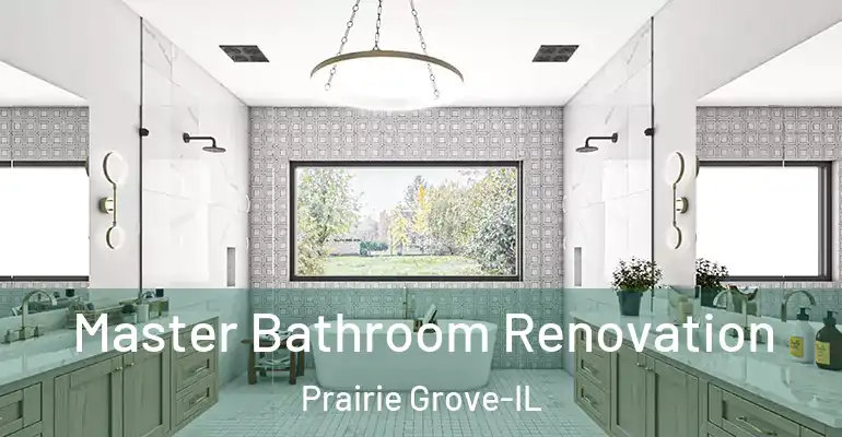 inner Bathroom imggen Master Bathroom Renovation Prairie Grove-IL