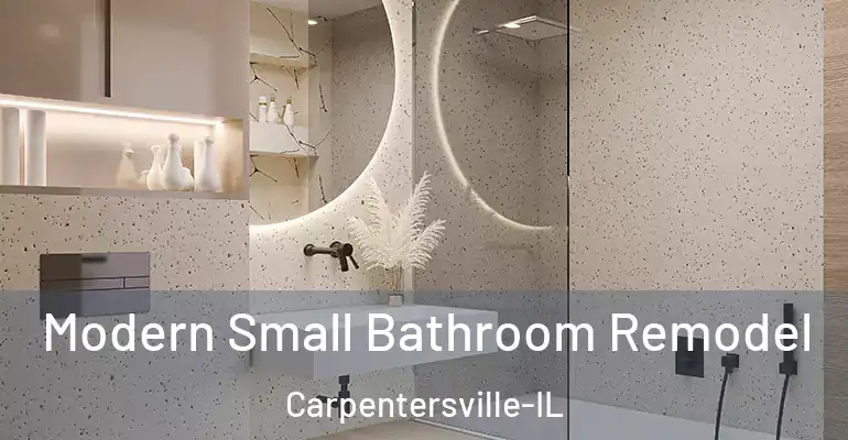inner Bathroom imggen Modern Small Bathroom Remodel Carpentersville-IL