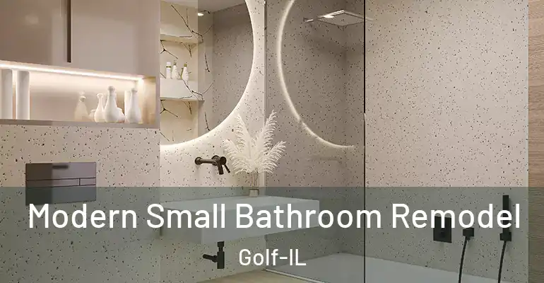 inner Bathroom imggen Modern Small Bathroom Remodel Golf-IL