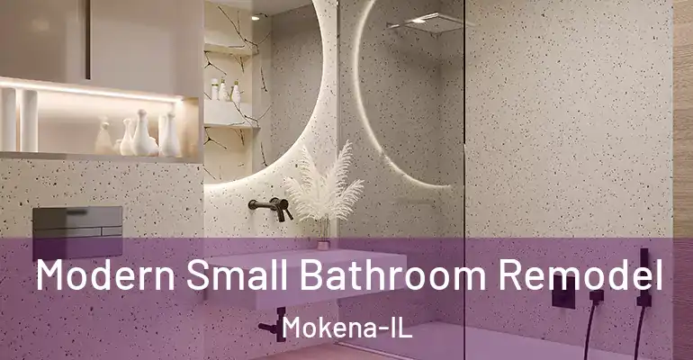 inner Bathroom imggen Modern Small Bathroom Remodel Mokena-IL