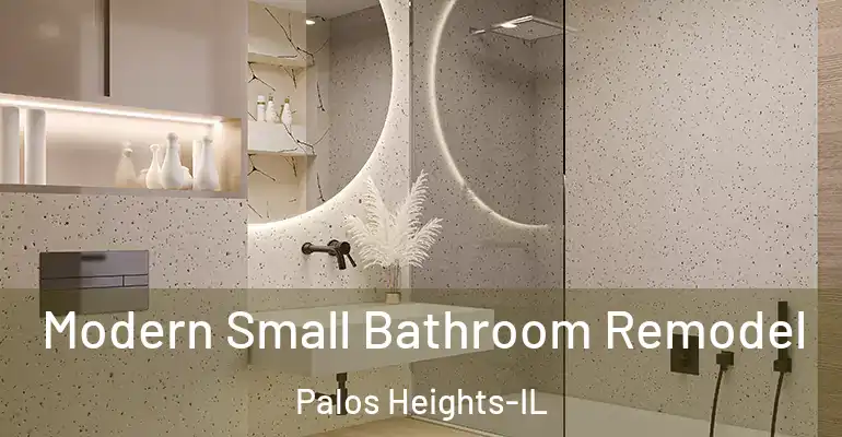inner Bathroom imggen Modern Small Bathroom Remodel Palos Heights-IL