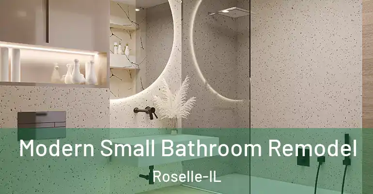 inner Bathroom imggen Modern Small Bathroom Remodel Roselle-IL