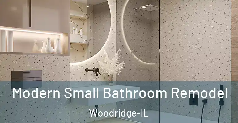 inner Bathroom imggen Modern Small Bathroom Remodel Woodridge-IL