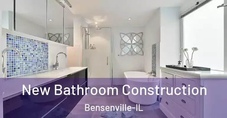 inner Bathroom imggen New Bathroom Construction Bensenville-IL