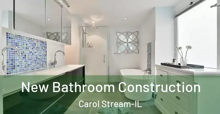 inner Bathroom imggen New Bathroom Construction Carol Stream-IL
