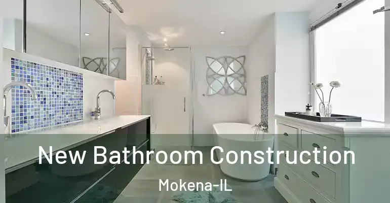 inner Bathroom imggen New Bathroom Construction Mokena-IL
