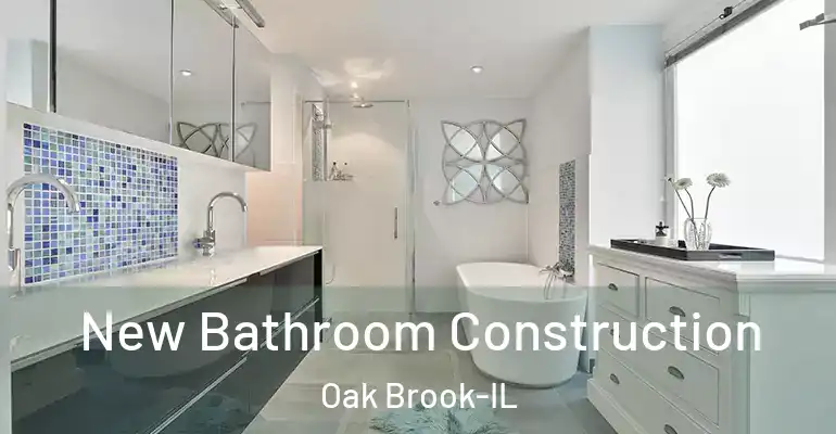 inner Bathroom imggen New Bathroom Construction Oak Brook-IL