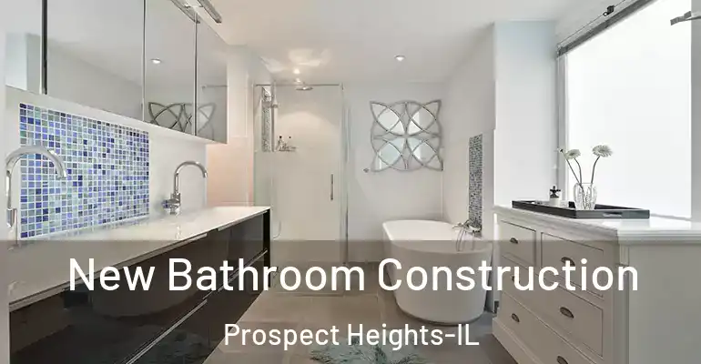 inner Bathroom imggen New Bathroom Construction Prospect Heights-IL