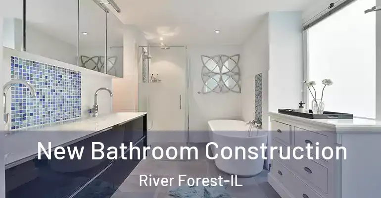 inner Bathroom imggen New Bathroom Construction River Forest-IL
