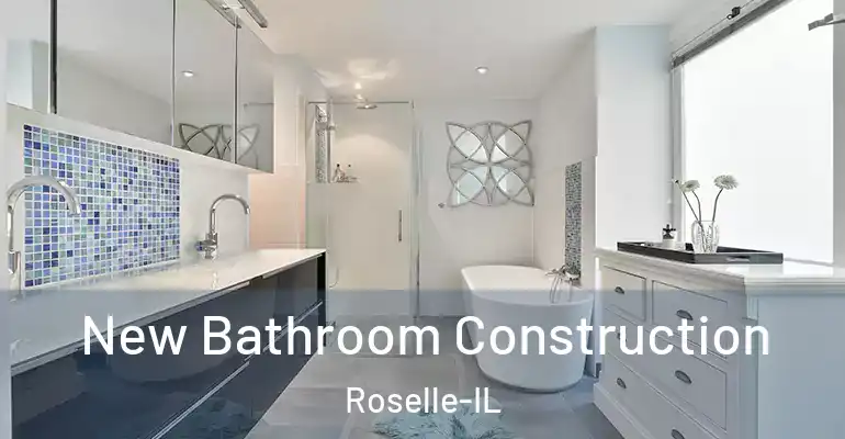 inner Bathroom imggen New Bathroom Construction Roselle-IL